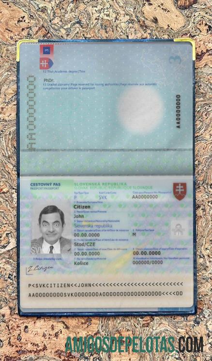 Look Fotográfico do Passe Eslováquia modelo